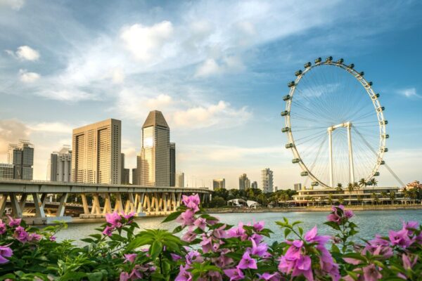 Singapore Urban Adventure (Luxury City & Marina Tour)