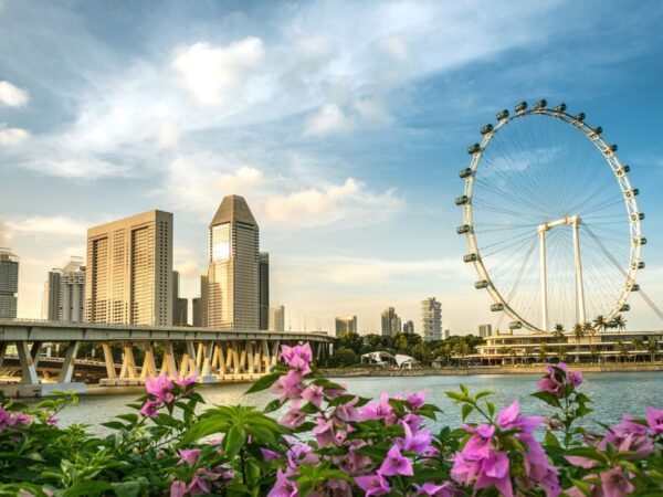 Singapore Urban Adventure (Luxury City & Marina Tour)