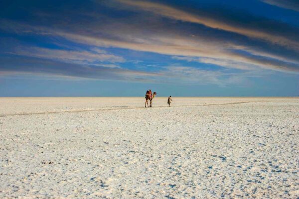 Kutch, Gujarat (White Desert Luxury Tour)
