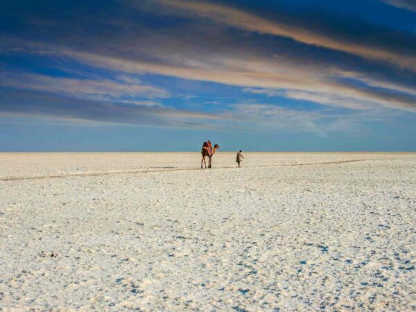 Kutch, Gujarat (White Desert Luxury Tour)