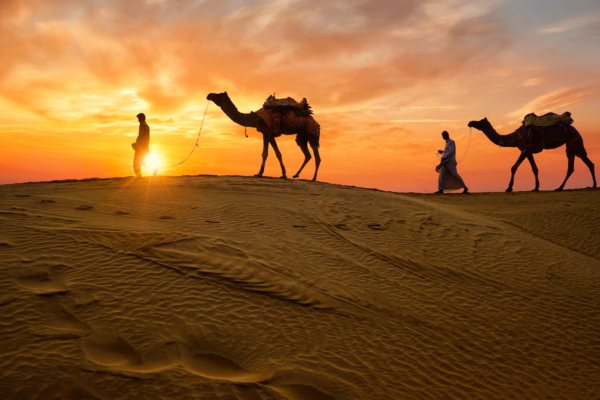 Rajasthan Royal (Heritage & Luxury Tour)