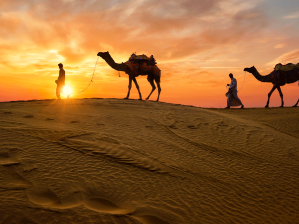 Rajasthan Royal (Heritage & Luxury Tour)